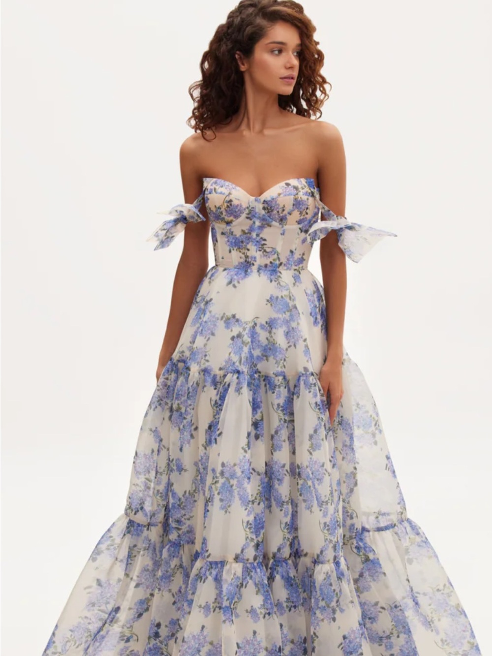 Milla Hydrangea Floral Organza Maxi Dress Blue White Tie-Strap Sweetheart xs